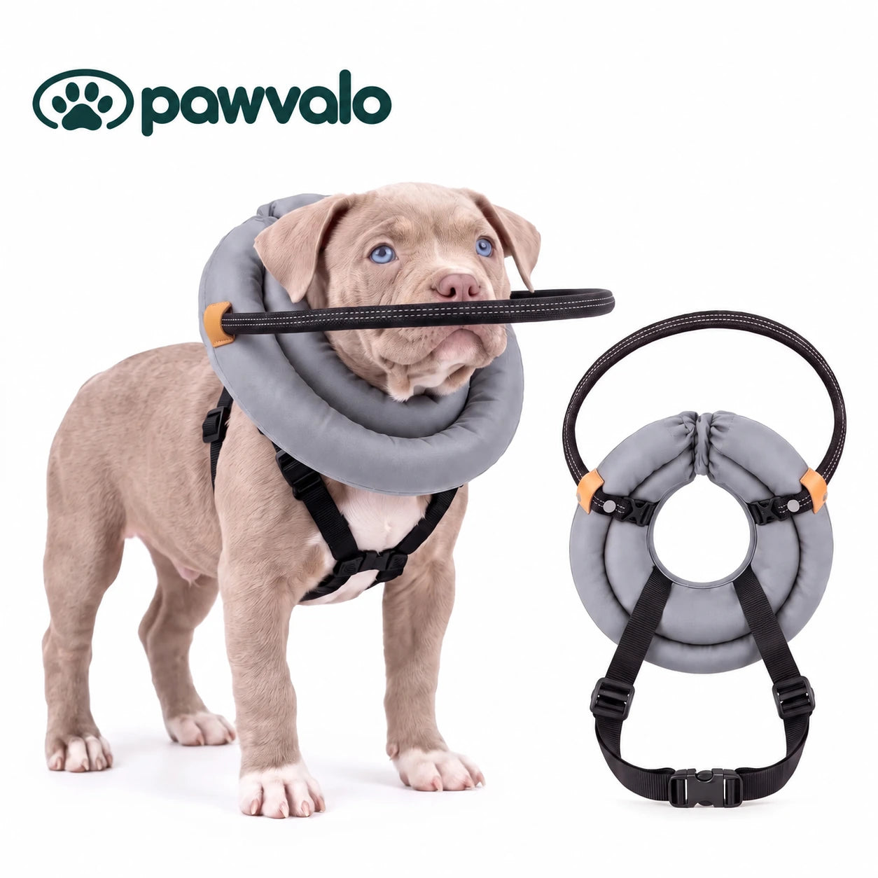 Pawvalo Halo harness on a puppy with a separate view of the padded halo and adjustable straps